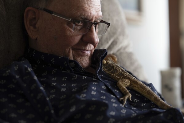Rod Conover sits with his pet lizard Buddy in his apartment at Smith Tower Apartments on Monday, March 10, 2025, in Vancouver, Wash. (AP Photo/Jenny Kane)